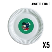 Pack de 5 assiettes jetable Deku One For All