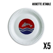 Pack de 5 assiettes jetable Flag House Tully