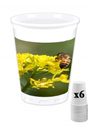 Pack de 6 Gobelets A bee in the yellow mustard flowers