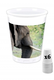 Pack de 6 Gobelets Elephant