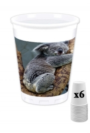Pack de 6 Gobelets Koala Bear Australia