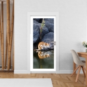 Poster de porte  Reflet chat dans l'eau d'un étang 