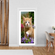 Poster de porte Bébé chaton mignon marbré rouge dans le jardin