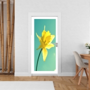 Poster de porte Daffodil