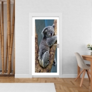 Poster de porte Koala Bear Australia
