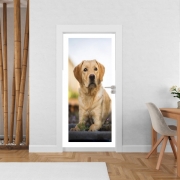 Poster de porte Labrador Dog