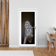Poster de porte Lovely cute owl