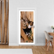 Poster de porte Trois petits chatons mignons dans un orifice d'un mur