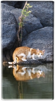 Batterie nomade de secours universelle 5000 mAh  Reflet chat dans l'eau d'un étang 