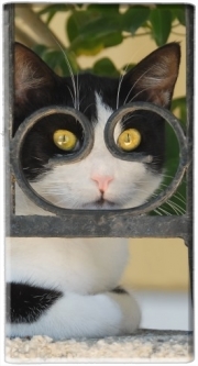 Batterie nomade de secours universelle 5000 mAh chat avec montures de lunettes, elle voit par la clôture en fer forgé