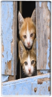 Batterie nomade de secours universelle 5000 mAh Petits chatons mignons à la fenêtre ancienne