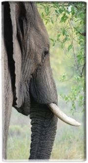 Batterie nomade de secours universelle 5000 mAh Elephant