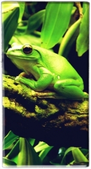 Batterie nomade de secours universelle 5000 mAh Green Frog