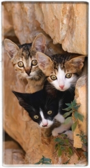 Batterie nomade de secours universelle 5000 mAh Trois petits chatons mignons dans un orifice d'un mur