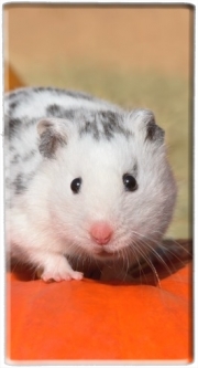 Batterie nomade de secours universelle 5000 mAh Hamster dalmatien blanc tacheté de noir