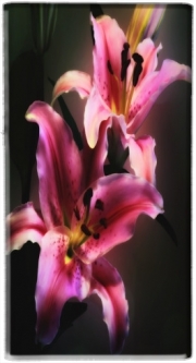 Mini batterie externe de secours micro USB 5000 mAh Painting Pink Stargazer Lily