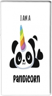 Mini batterie externe de secours micro USB 5000 mAh Panda x Licorne Means Pandicorn