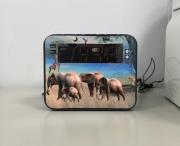 Radio réveil Safari