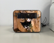 Radio réveil Trois petits chatons mignons dans un orifice d'un mur