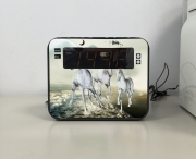 Radio réveil Cheval blanc sur la plage