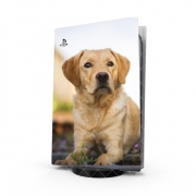 Autocollant Playstation 5 - Skin adhésif PS5 Labrador Dog
