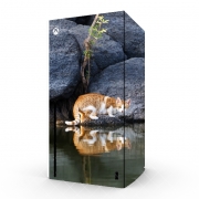 Autocollant Xbox Series X / S - Skin adhésif Xbox  Reflet chat dans l'eau d'un étang 