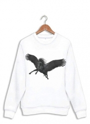 Sweatshirt Black Pegasus