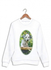 Sweatshirt chiot dalmatien dans un panier
