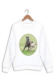 Sweatshirt Chevaux poneys poulain