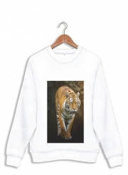 Sweatshirt Siberian tiger