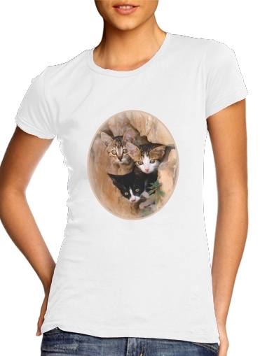 T-Shirt Manche courte cold rond femme Trois petits chatons mignons dans un orifice d'un mur