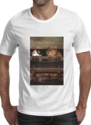 T-Shirt Manche courte cold rond Little cute kitten in an old wooden case